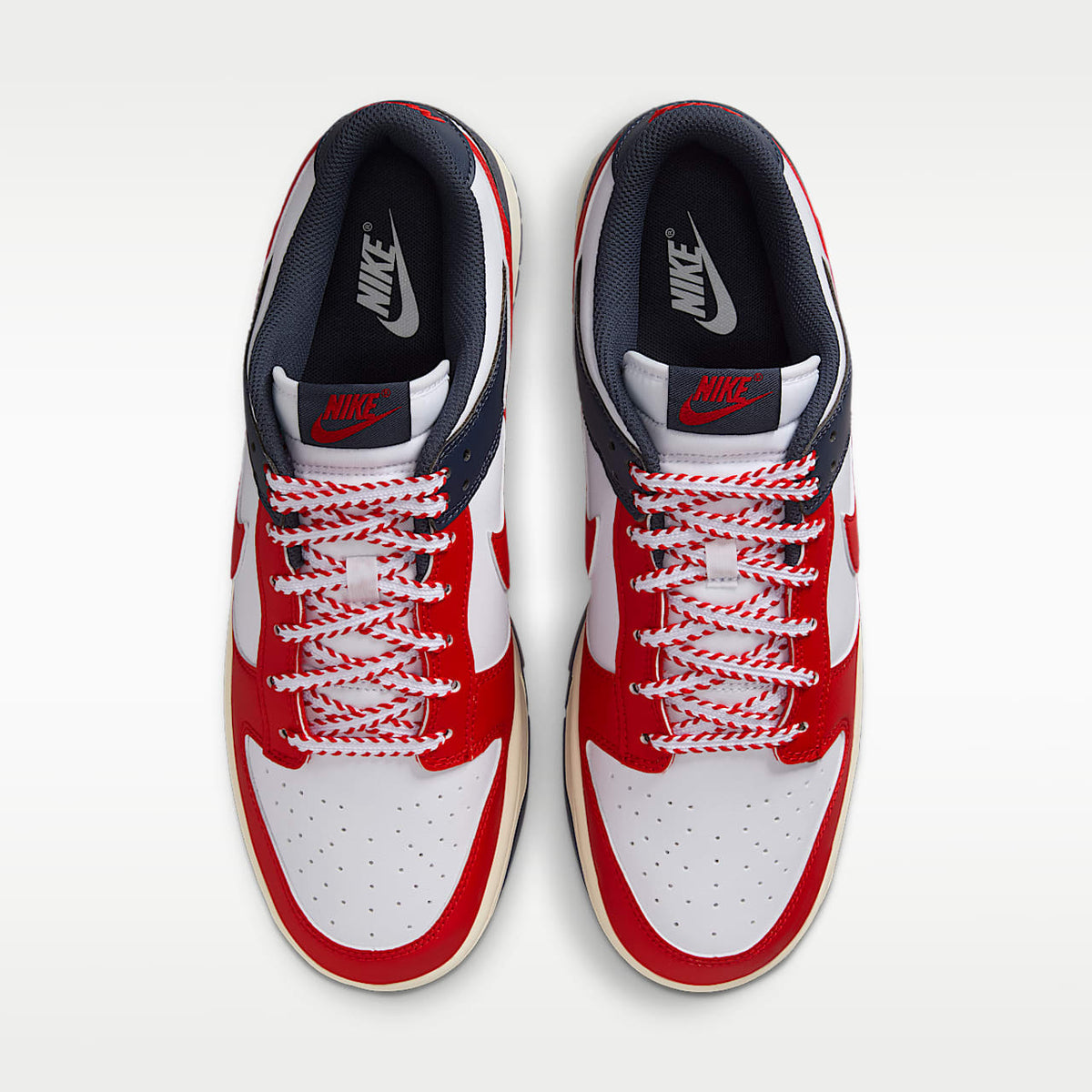 Dunk Low Retro Men's Shoes