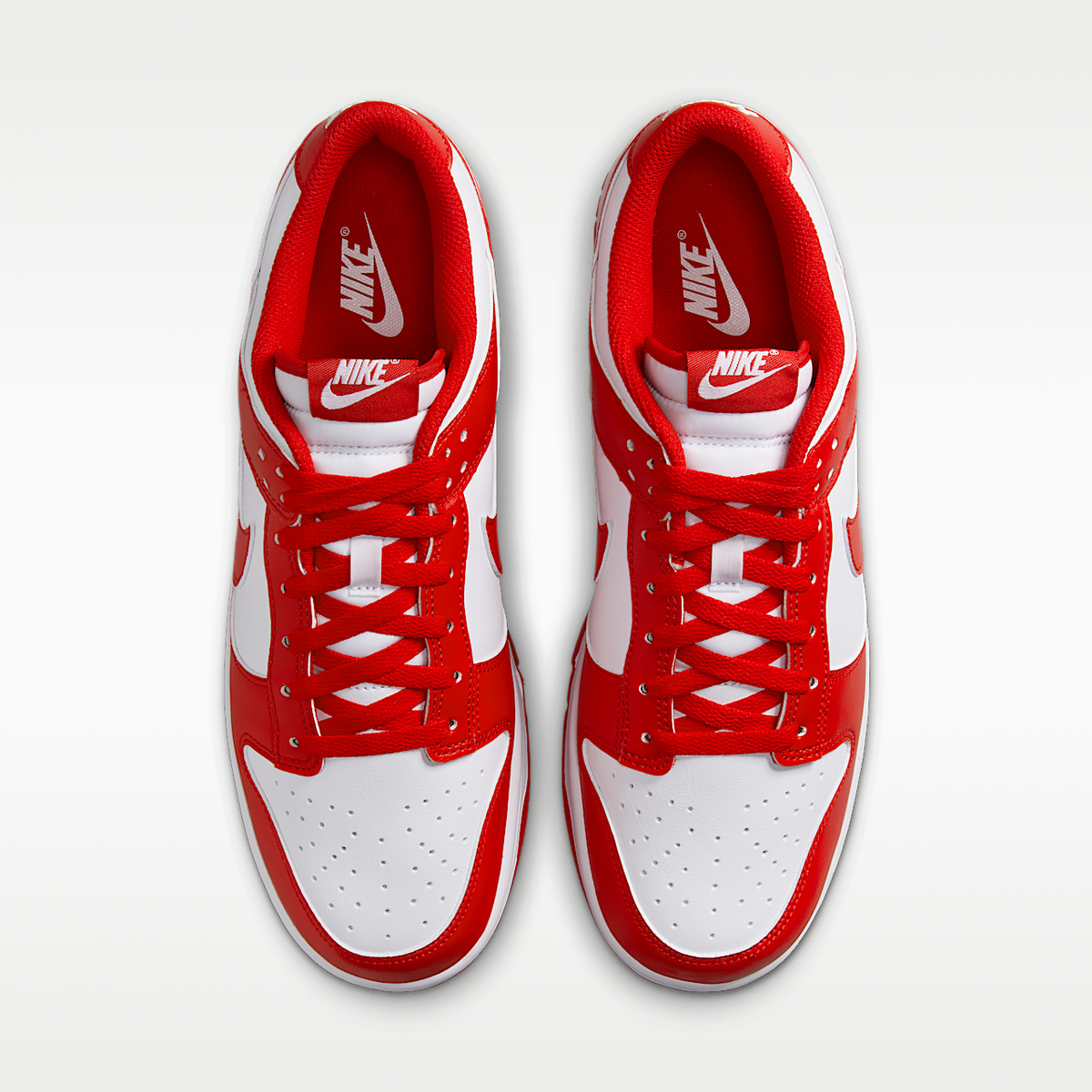 Dunk Low Retro Men's Shoes